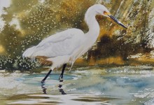 The Oak Group Presents “Circle of Compassion”