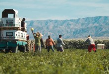 Full SBIFF Lineup Announced