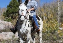 Marsha Lois Ackland Sorensen