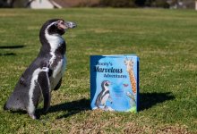 Virtual Event: Author & Guest Read “Monty’s Marvelous Adventures”