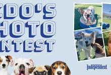 Fido’s Photo Contest