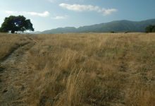 Save the San Marcos Foothills Preserve