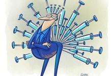 Poodle Wins Vaccine Lottery in Santa Maria