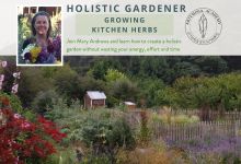 Online Workshop: Holistic Gardener – Growing Kitchen Herbs