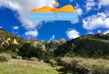 Watershed Brigade Trails & Turnouts Clean-up Event
