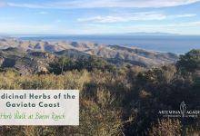 Herb Walk at Baron Ranch