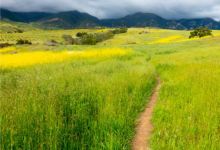 “Walk & Talk” Tour of the San Marcos Foothills
