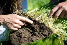 Farming & Nature-Based Resilience: Community Forum on Zoom