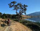 Unplugging at a Dude Ranch
