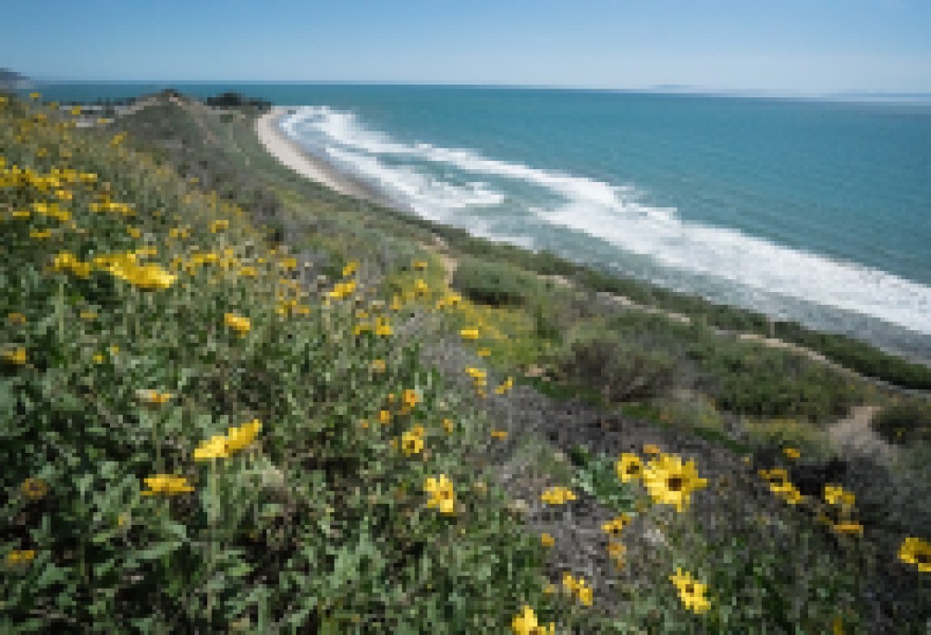 Fresh Faces of Environmental Action for Earth Day