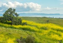 Zoom Info Session: Save San Marcos Foothills West Mesa