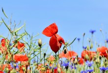 Spring Reset Giveaway