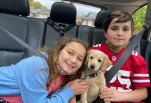 The Kettmanns and Their Arrow