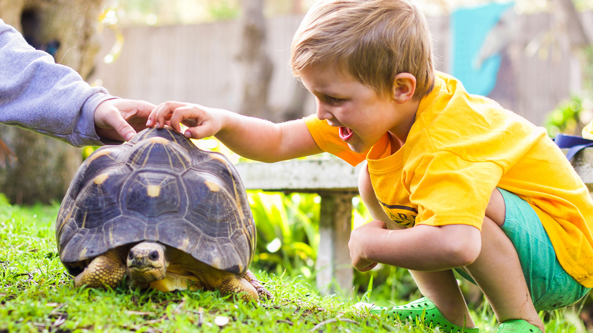 2021 Summer Camp Guide