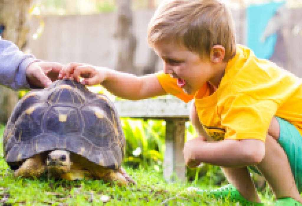 2021 Summer Camp Guide