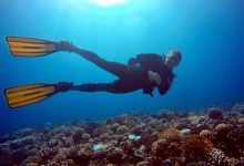 Zoom Event: Reef-building Corals’ Response to Stress