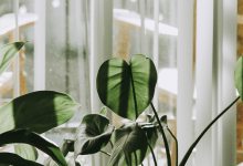 Earth Day and Green Homes