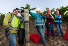 Celebrating El Buen Equipo