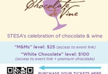 Virtual Event: 12th Annual Chocolate de Vine Fundraiser