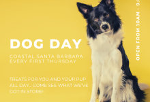 Coastal’s Dog Day!