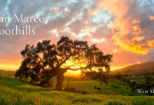 Zoom Info Session: Save San Marcos Foothills West Mesa