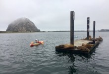 Carbajal, Feds Reach Deal on Morro Bay Offshore Wind Project