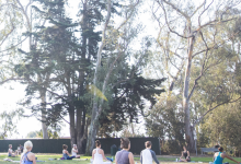 Donation Yoga Class: Save the Summerland Farm!