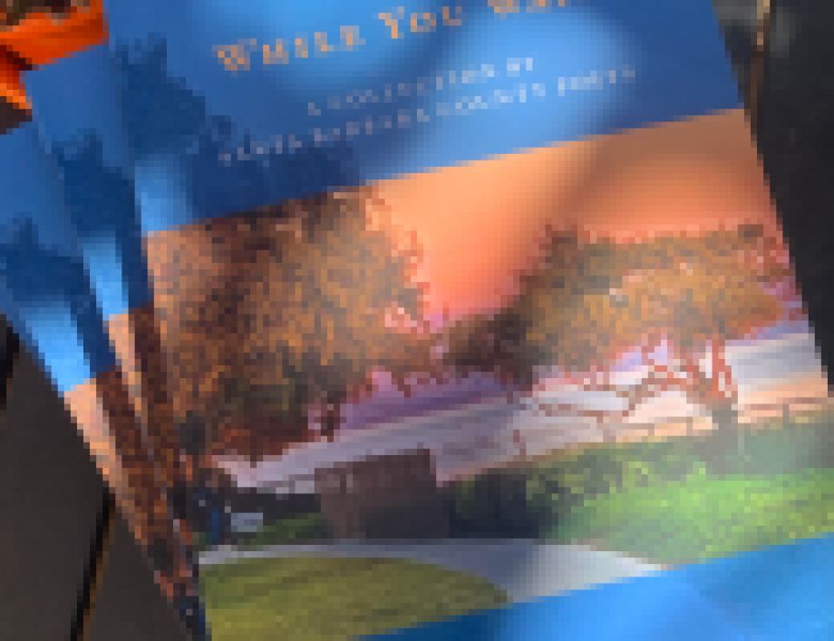 ‘While You Wait: A Collection by Santa Barbara County Poets’