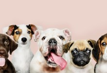 If It Smells, It Won’t Sell