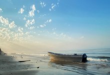 Tyler Hayden’s 2021 in Review