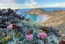 Santa Barbara’s 2021 Blue & Green Adventure Guide