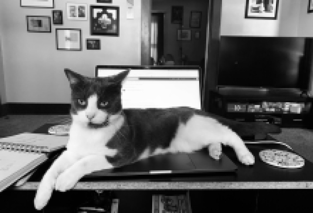 Workin’ It (Mostly from Home) in 2021