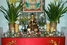 Wednesday Noon Meditation