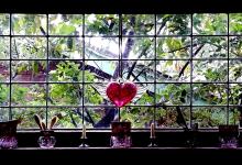 Airplane Bungalow on East Victoria