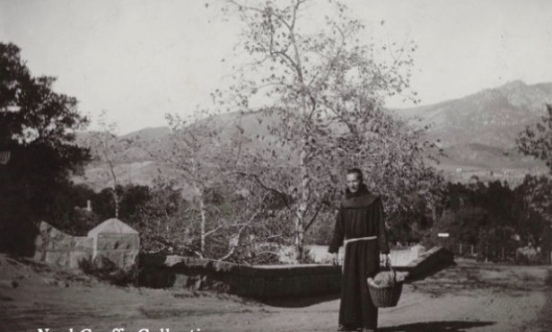 Could Four Old Sycamores Save Mission Canyon Bridge?