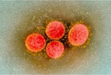 Two New Delta Variant Cases Found in Santa Barbara County