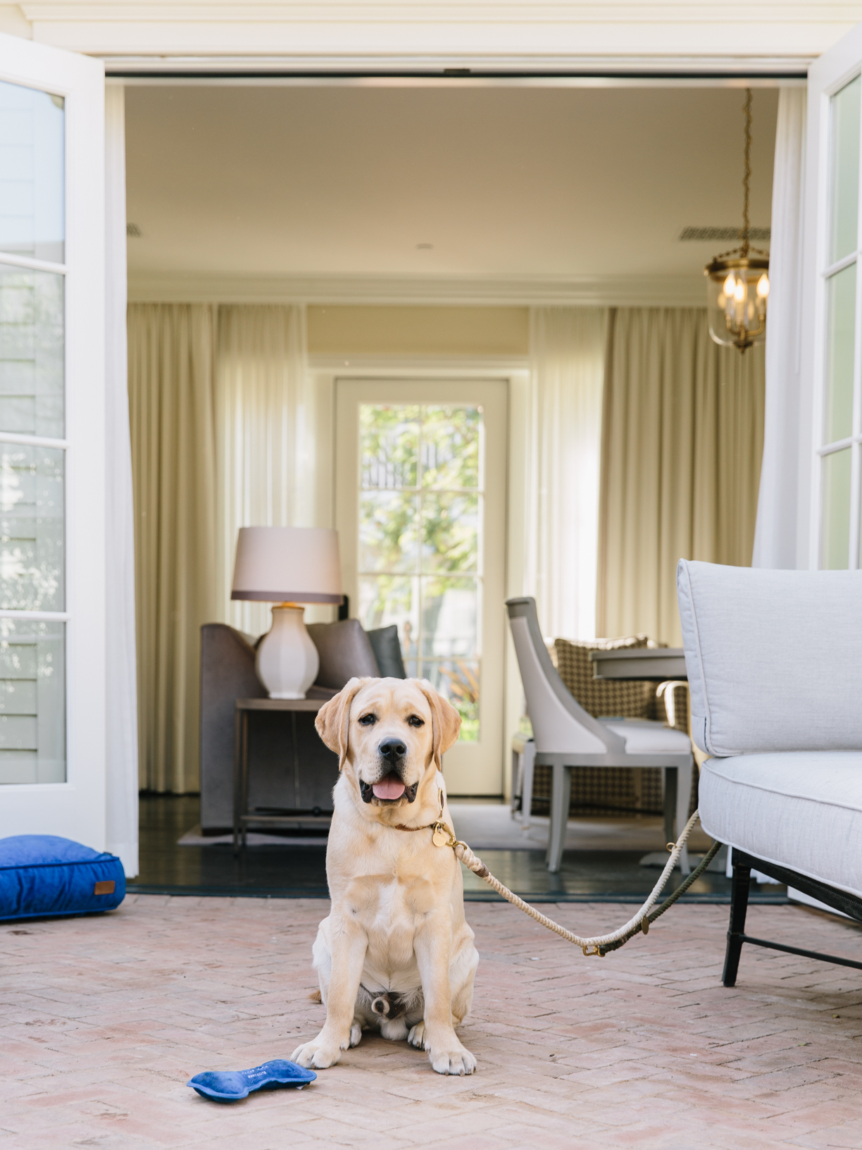 Dog Days of Miramar The Santa Barbara Independent