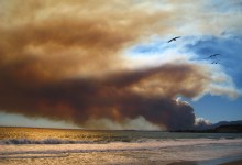 Science Pub: Fire Agencies and Public Safety