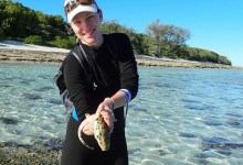 “Casting a Light into the Deep Sea” A Free Webinar