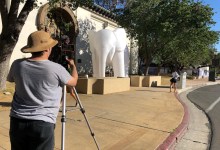 Enigmatic Elephant Appears Around Santa Barbara