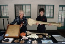 Virtual Docent Open House