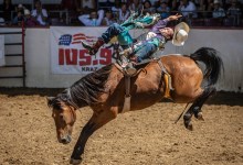 Petition to Cancel Santa Barbara Rodeo over Animal Cruelty