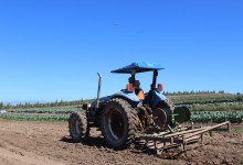 Summerland Farmland to ‘Remain Green Forever’