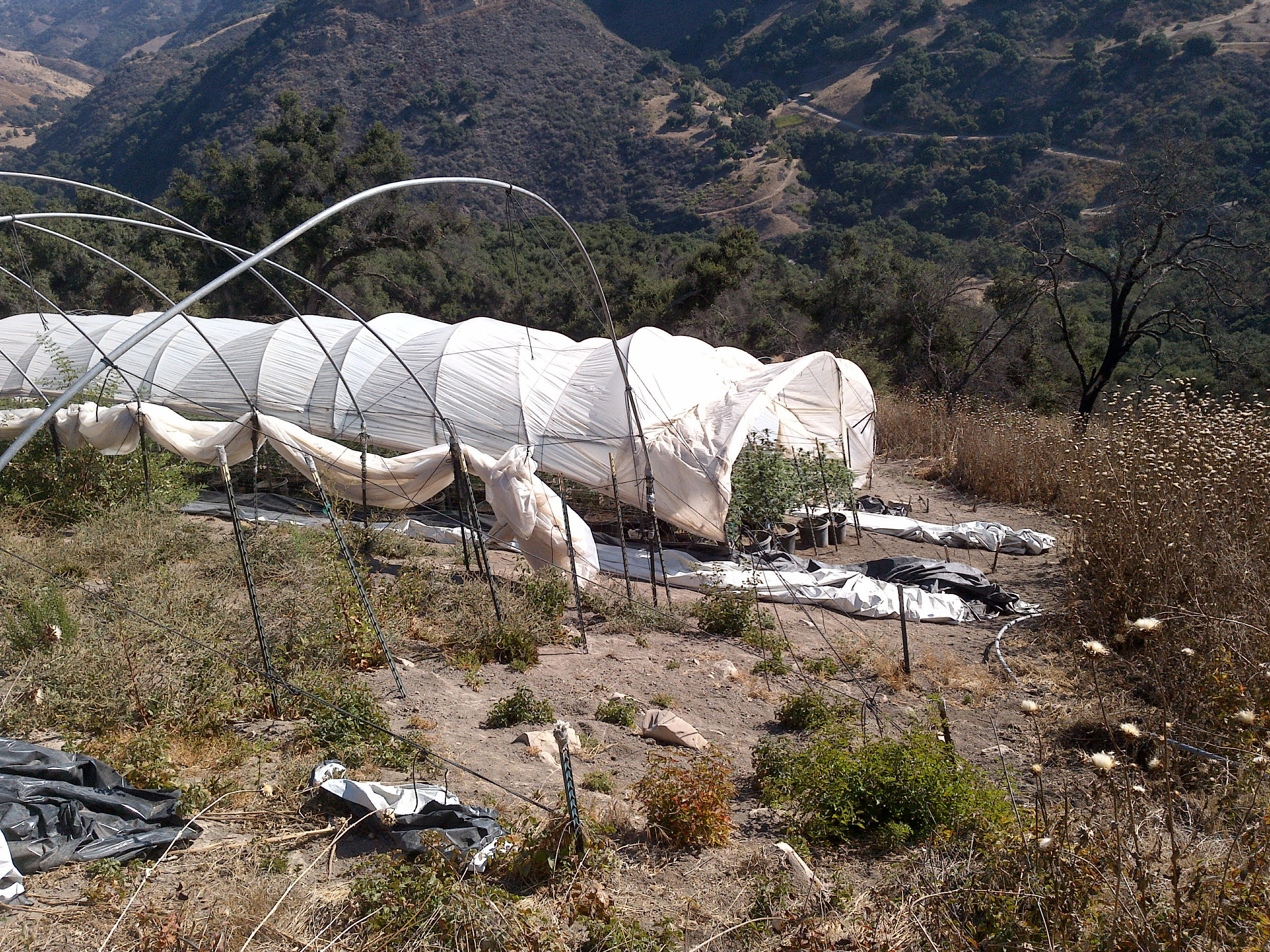 helios dayspring san luis obispo helios dayspring san luis obispo