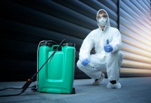 Should Buyers Get a Pest Report?