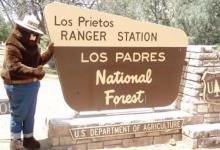National Forests to Close at Midnight