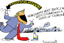 How Do They Wring Oil from a Snake?