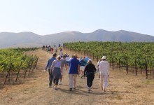 Alma Rosa Winery’s Second Annual Peace of Mind Event Raises $177,896
