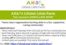 AHA!s Littlest Little Farm