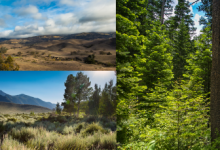 Natural Reserve System Fall 2021 Seminar Series